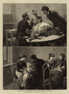 Vaccination from the Calf by Charles J. Staniland